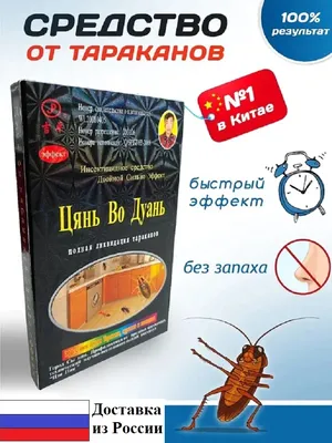 Как избавиться от тараканов в квартире навсегда? Инструкция по борьбе с  тараканами народными и современными средствами: Дом: Среда обитания:  Lenta.ru