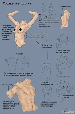 Рисунки тела для срисовки - 51 фото