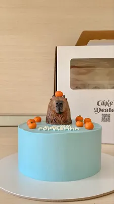 Бенто торт капибара capybara cake | Пироги на день рождения, Торт с  буквами, Праздничные торты