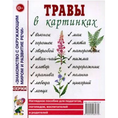 Фитокомплекс «Полезные травы» для вен и сосудов · 60 капс. · Пчела и  человек — купить за 519 руб · Лавка знахаря