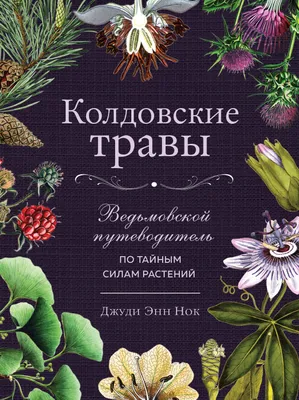 Чай Медведъ Луговые травы травяной 20 пакетиков арт. 1170727 - купить в  Москве оптом и в розницу в интернет-магазине Deloks