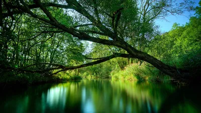 Фотопейзажи Крыма, фото в путешествиях по Крыму, Ялте и Севастополю