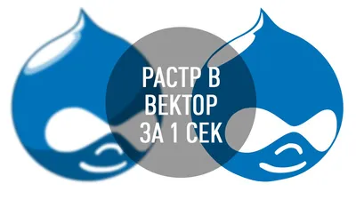 подпишите вектор скорпион иллюстрация вектора. иллюстрации насчитывающей  форма - 49254970