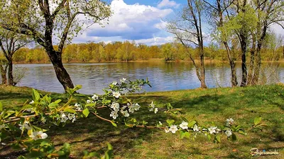 Чтобы весна не прошла незамеченной | Пикабу