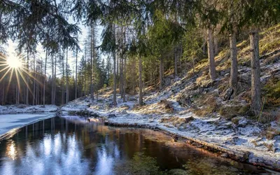 Картинка Весенний фестиваль цветов » Весна » Природа » Картинки 24 -  скачать картинки бесплатно