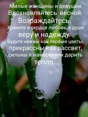 Картина по номерам Весна пришла, 40х50 (GX8180) (ID#927995816), цена: 278  ₴, купить на Prom.ua