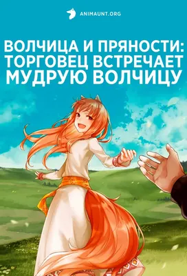 Волчица и пряности. Коллекционное издание — Магазин store.otaku.ru