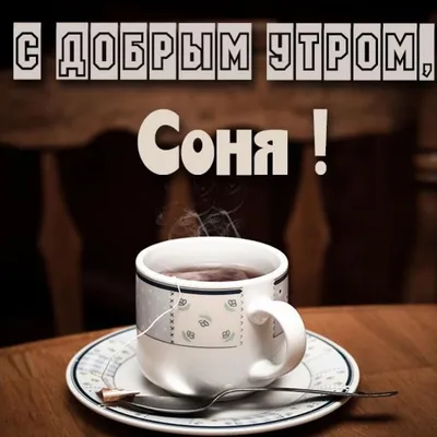 Вставай, соня!