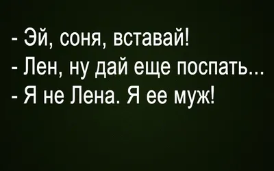 Орут и смешно лежат: 20 восхитительных мемных животных