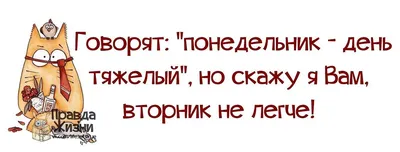 Заседание Международного дискуссионного клуба «Валдай» • Президент России