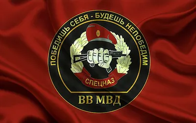 День внутренних войск МВД — когда и какого числа отмечают в 2024 и 2025  году. Дата и история праздника — Мир космоса