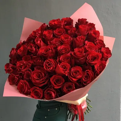 Пожелание и роза женщине к дню рождения (26 лучших фото)