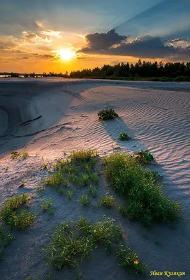 Море закат красивые картинки - 58 фото