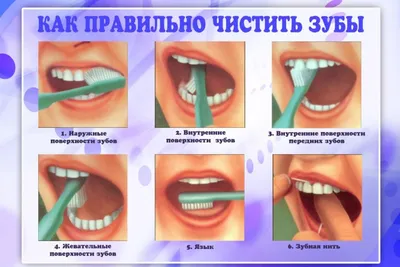Здоровые зубы - залог здоровья! | Весточка