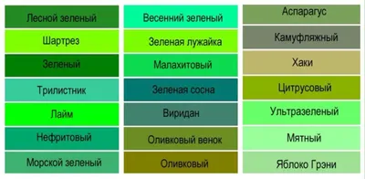 Зеленый цвет в интерьере и его сочетания с другими цветами