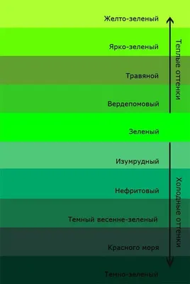 Картинки эстетика зеленого цвета - 84 фото