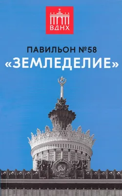 Вышла в свет монография Татьяны Прудниковой «Древнее земледелие и  трансформация ландшафтов Центральной Азии» » Tuva.Asia