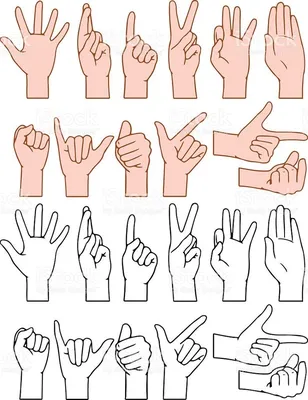 Создана самая точная методика определения жестов рук искусственным  интеллектом — Ferra.ru