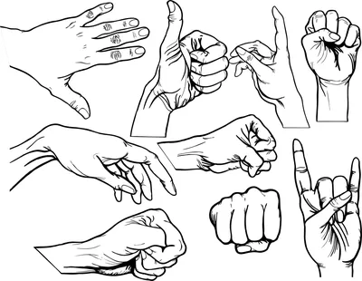 Руки Месте Жесты Пальцами Внимание Жест Ладонь Указывая Рукой Язык  Векторное изображение ©robuart 670702404