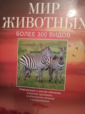 Енциклопедія животних. Книга ответов почемучки: 120 грн. - Книги / журналы  Запорожье на Olx