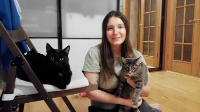 Как мы с мужем котят спасали | Пикабу