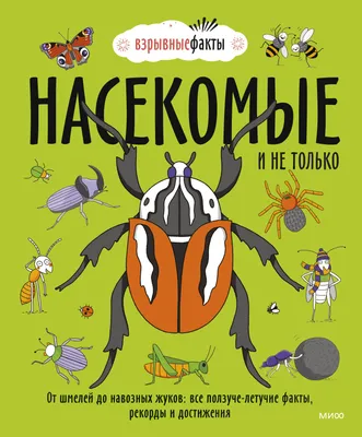 Не трогай помощников! 5 жуков, которых нельзя уничтожать на огороде |  Лайфхаки для дачников от компании ИНОМ: все о ФЗ-217 и не только | Дзен