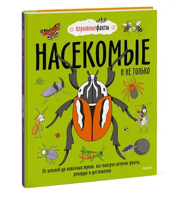 Коллекция жуков для кукольного дома 1:12 купить в интернет-магазине Ярмарка  Мастеров по цене 3000 ₽ – SXFMGBY | Кукольные домики, Челябинск - доставка  по России