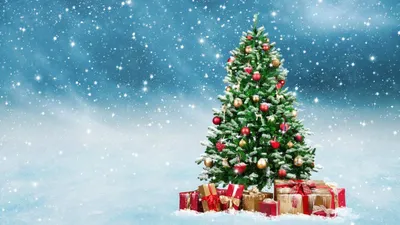 Обои \"Зима и Новый год\" на рабочий стол: самые яркие! | Christmas tree  images, Beautiful christmas trees, Christmas gift guide