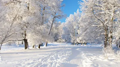 Тема «Der Winter» (Зима) » Немецкий язык: от А до Я | Deutsch: von A bis Z  - Новый подход к обучению немецкому как иностранному: индивидуальные  занятия (по Skype) + участие в