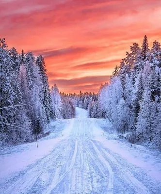 Зима дорога (98 фото) - 98 фото