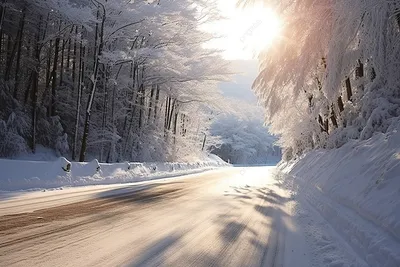 зимняя дорога зимний заснеженный лес покрытый солнечными лучами, Канвондо,  зима, высокое разрешение фон картинки и Фото для бесплатной загрузки