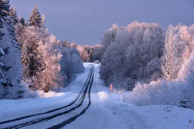 Зимняя дорога. Фотограф Андрей Зыкин