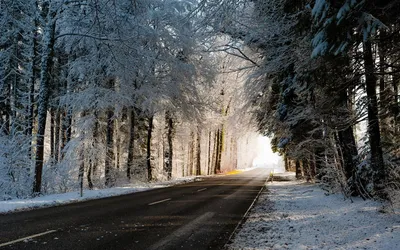 Зимняя Лесная дорога (56 фото) - 56 фото