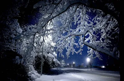 Зима, нежная, красивая, ночью» — создано в Шедевруме