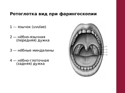 Холангиоцеллюлярная карцинома. под ред. Чжао А. (6486813) - Купить по цене  от 3 459.00 руб. | Интернет магазин SIMA-LAND.RU