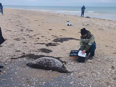 Тайны и история Каспийского моря – Джейран Медиа