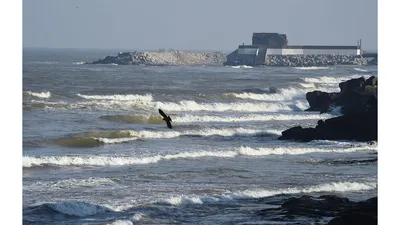 Купить тур на Каспийское море