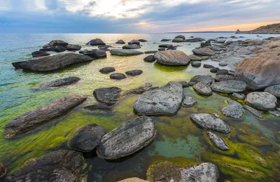 Каспийское море: почему мелеет, какие реки впадают