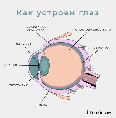 Катаракта | Республиканская клиническая офтальмологическая больница