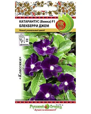 Семена однолетников Катарантус Сиеста ассорти, каталог семян почтой РБ