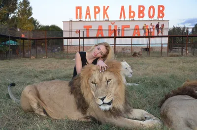 Уууууф, бесстыжая!»: Катя Самбука вызвала фонтан эмоций налитой грудью в  тонких кружевах