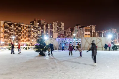 Бесплатный каток на Советской площади в Ярославле: как купить билет, прокат  коньков, график работы - 15 декабря 2023 - 76.ru