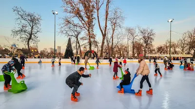 Каток «Альпийский лед» в Москве | A-a-ah.ru