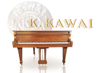 KAWAI KDP 120 R Elektronisches Piano | Kytary.de