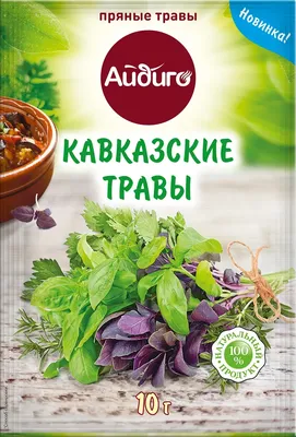 СКФУ стал партнером Всероссийского фестиваля «Кавказские игры» в Ставрополе  - АТВмедиа