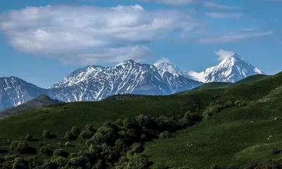 Бурка Кавказская купить в интернет-магазине Ярмарка Мастеров по цене 12000  ₽ – RNI6ABY | Подарки для охотников и рыболовов, Нальчик - доставка по  России