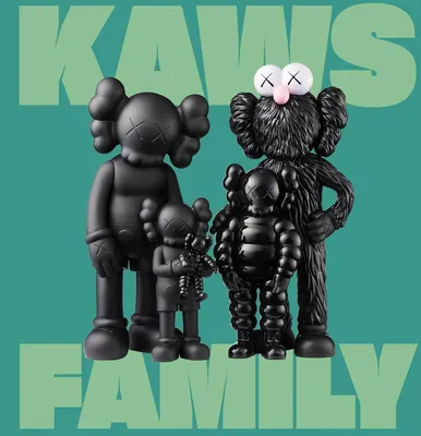 KAWS: FAMILY : Jost, Stephan, Cox, Julian, Shedden, Jim: Amazon.ca: Books