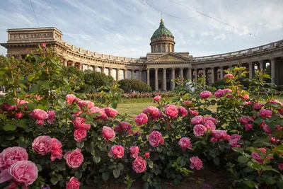 Казанский собор (1811 г.), Санкт-Петербург