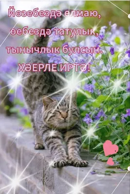 Хәерле иртә, дуслар!