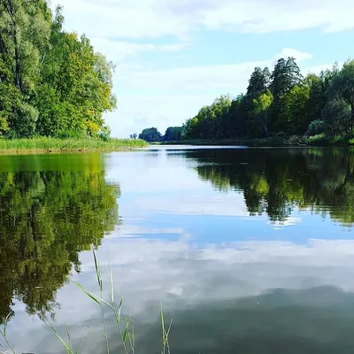 Хэерле иртэ — Дневник добрых дел